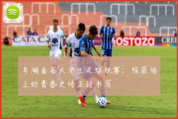 年湖南省大学生足球联赛：绿茵场上的青春史诗正待书写